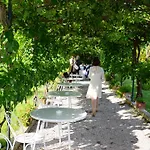 Cipriani *